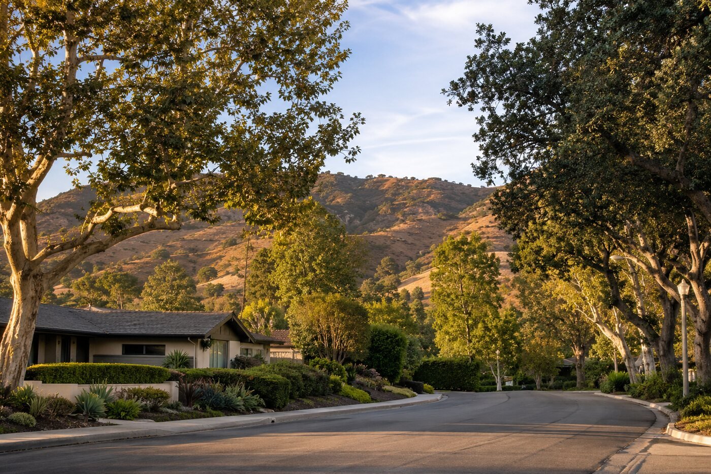 Tree lined residential street in North Tustin